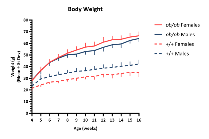 Mouse Phenotype Info - Body Weight - JAX® Mice Strain BTBR-Ob (004824)