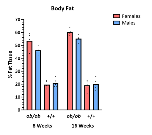 Mouse Phenotype Info - Body Fat - JAX® Mice Strain BTBR-Ob (004824)