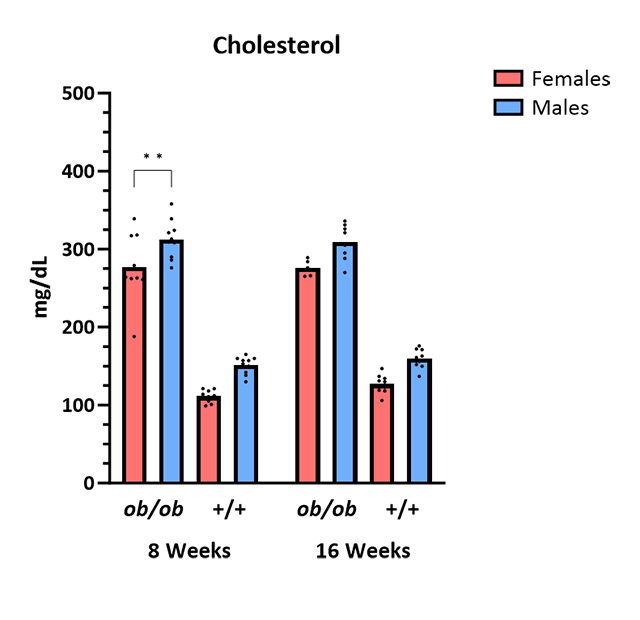 Mouse Phenotype Info - Cholesterol - JAX® Mice Strain BTBR-Ob (004824)