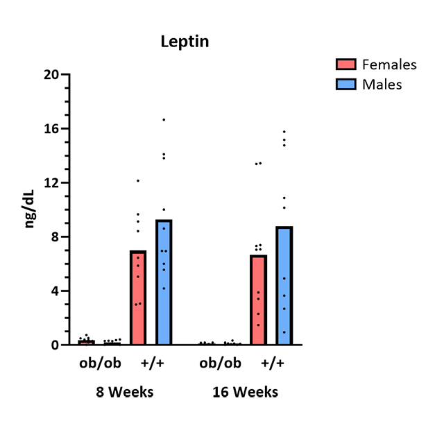 Mouse Phenotype Info - Leptin - JAX® Mice Strain BTBR-Ob (004824)