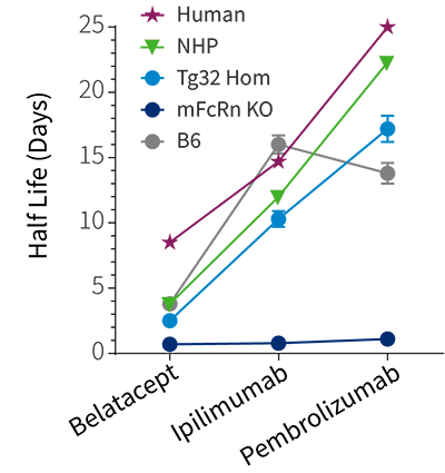 HuPK - Half-Life (Belatacept, Ipilimumab, Pembrolizumab)