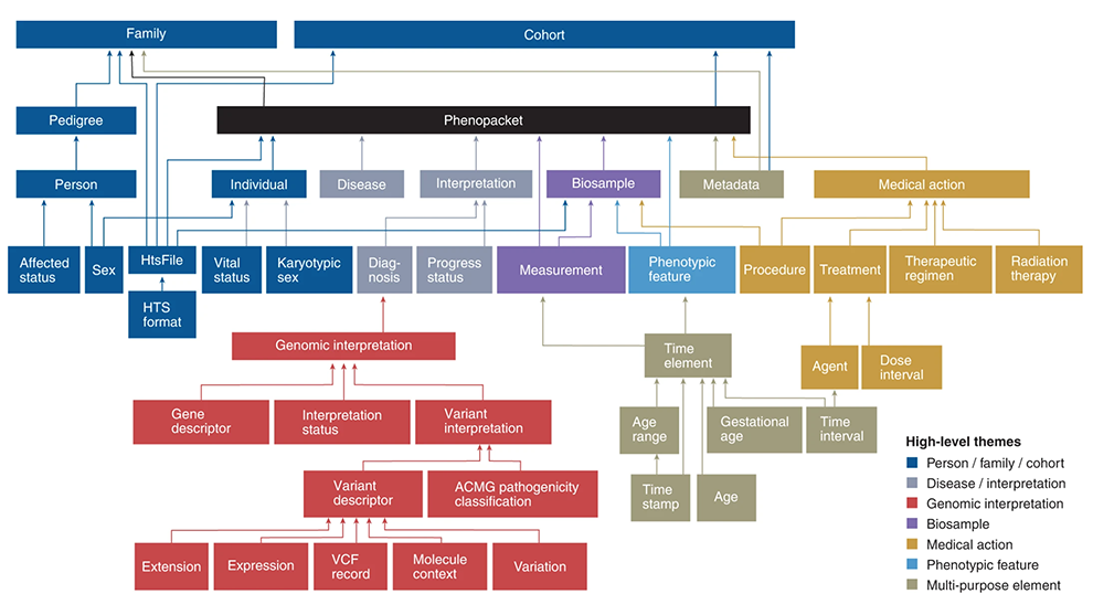 A visual representation of phenopacket-tools developed by The Jackson Laboratory's Peter Robinson.