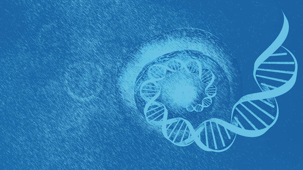 Single Cell Genomics at The Jackson Laboratory