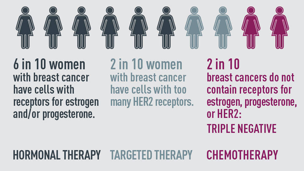 JAX RESEARCHERS REVEAL GENOMIC CULPRIT, TREATMENT STRATEGY FOR SOME DEADLY CANCERS