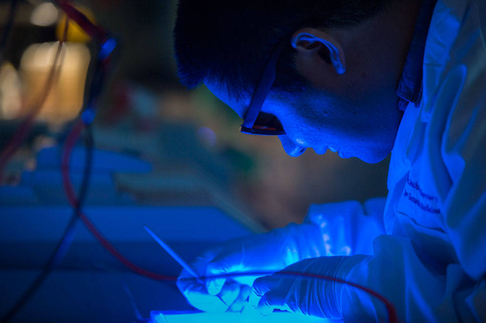 Albert Cheng CRISPR Casilio The Jackson Laboratory