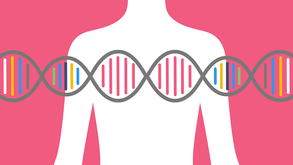 Artistic representation of a human torso and dna helix.