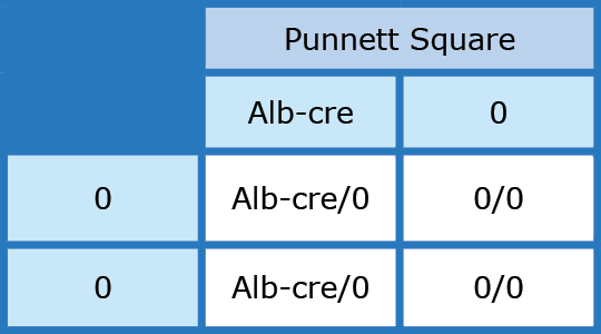 punnett square alb cre