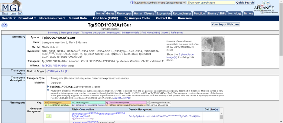 Mouse Genome Informatics - Transgene Detail