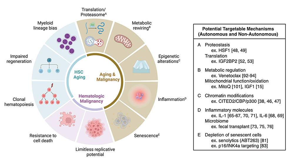 A 2023 research example from The Jackson Laboratory's Jennifer Trowbridge, published in "Blood."