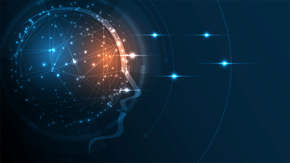 An abstract rendering of a data set within a cross section of a human head, representing data and AI.