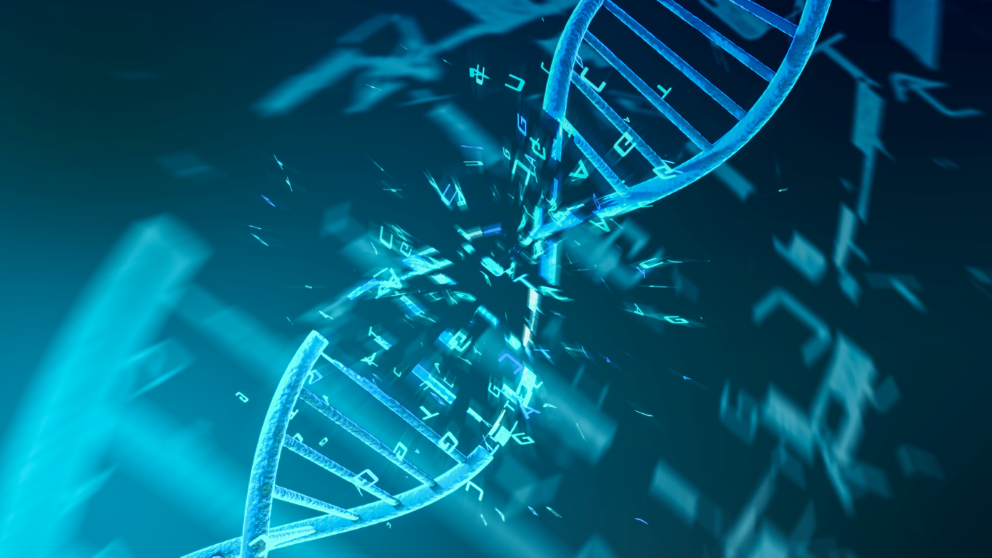 A stylized representation of a DNA strand being broken into its component parts.