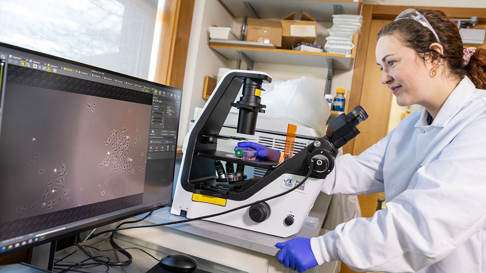 The Jackson Laboratory's Cara Hardy working at a microscope and computer. Photo credit: Tiffany Laufer