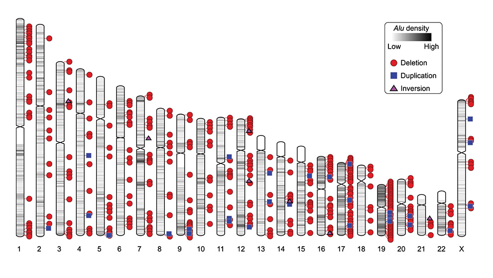 An 2023 research example from The Jackson Laboratory's Christine Beck.