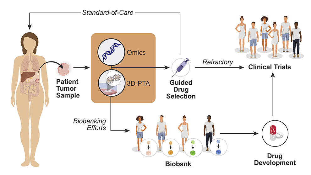 An 2023 example of research from the Chaung lab