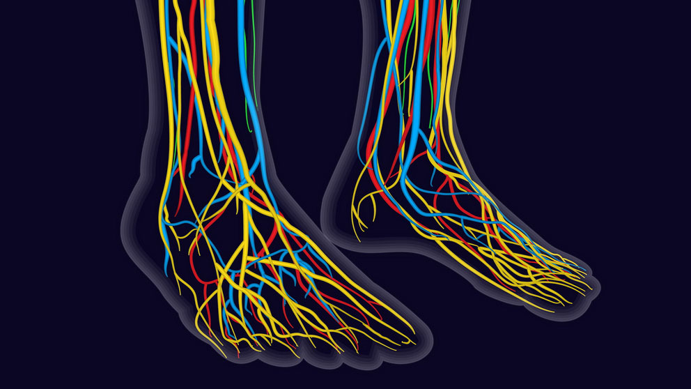 Charcot-marie-tooth, rare disease