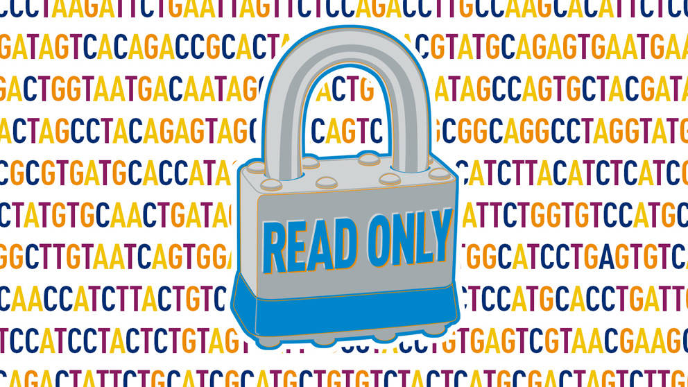 Casilio CRISPR Cas9