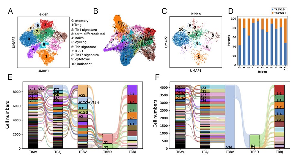 A visual example of diabetes research from The Jackson Laboratory's David Serreze.