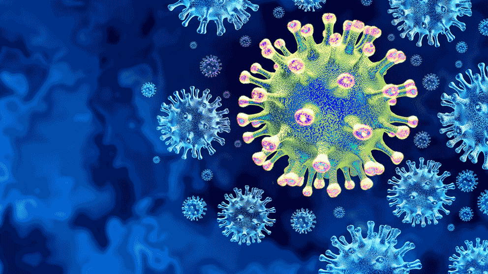 Mice with different genetic backgrounds exhibit highly variable responses to SARS-CoV-2 infection, mirroring the large differences in COVID-19 disease severity seen in humans.