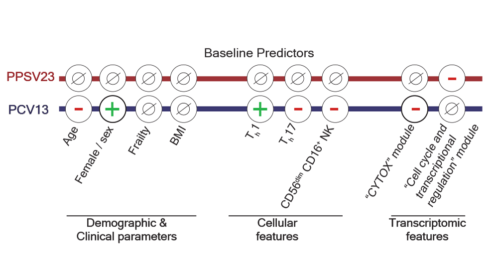 A vaccine response research example from The Jackson Laboratory's Duygu Ucar.