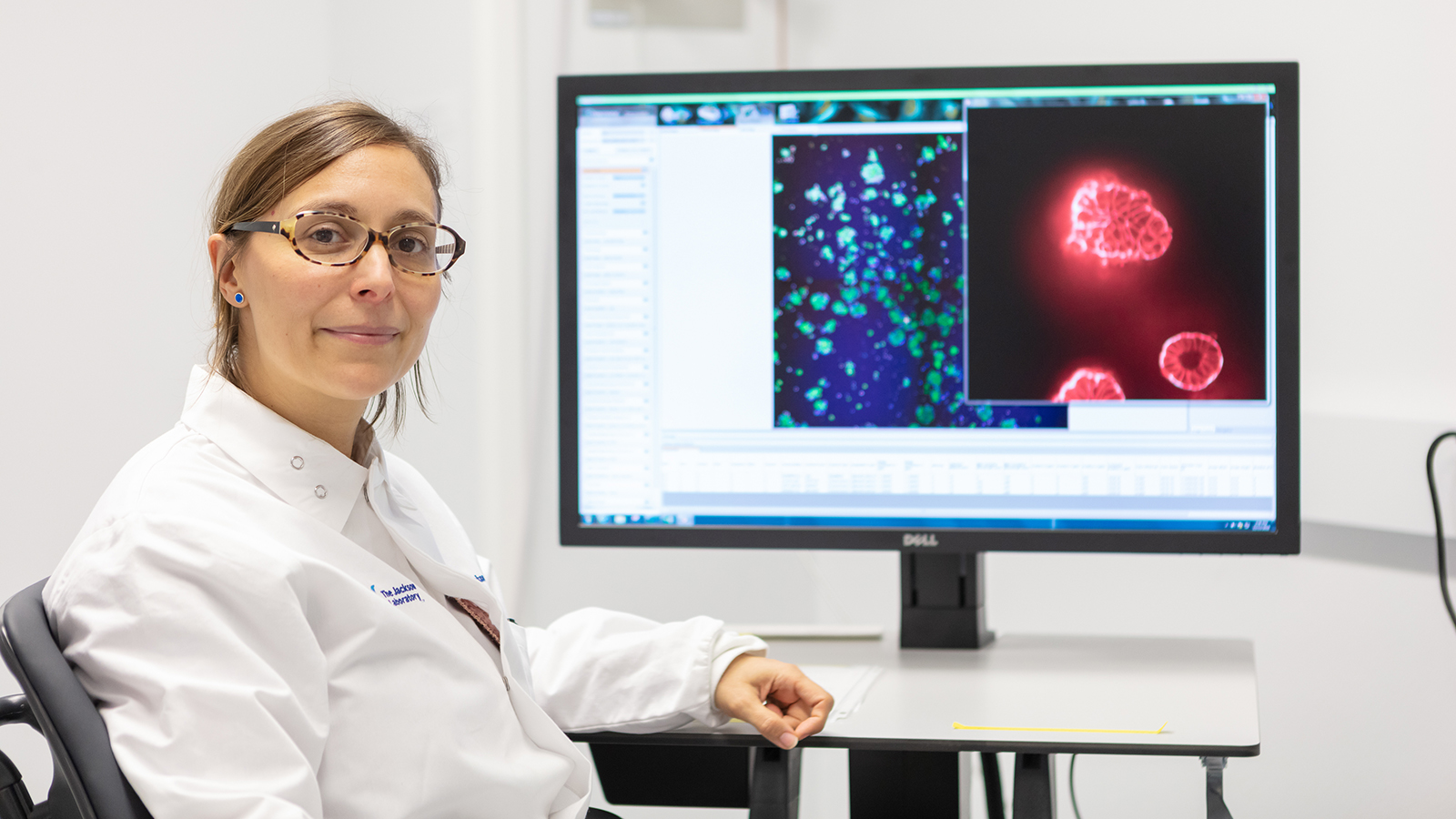 JAX scientist Elise Courtois sitting in front of her computer