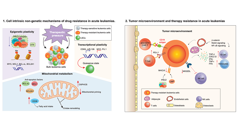 An example drug resistance research from The Jackson Laboratory's Eric Wang.