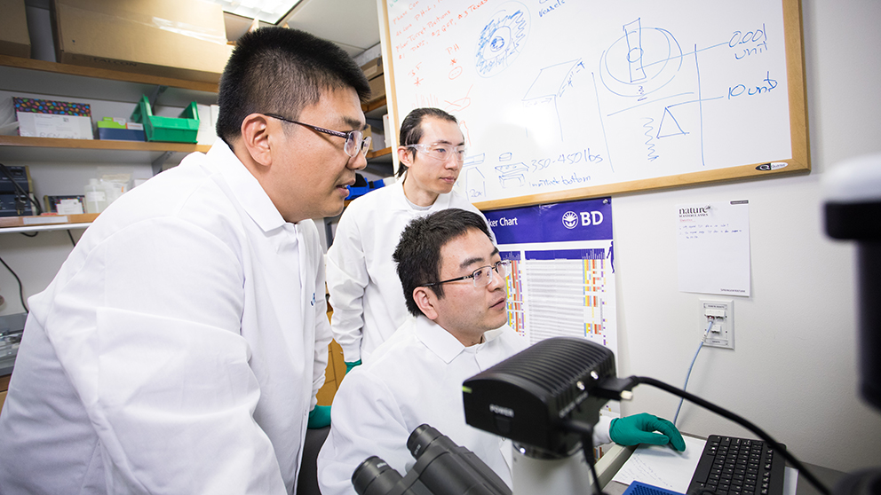 Gary Ren and the Ren Lab study cancer,cancer research at The Jackson Laboratory