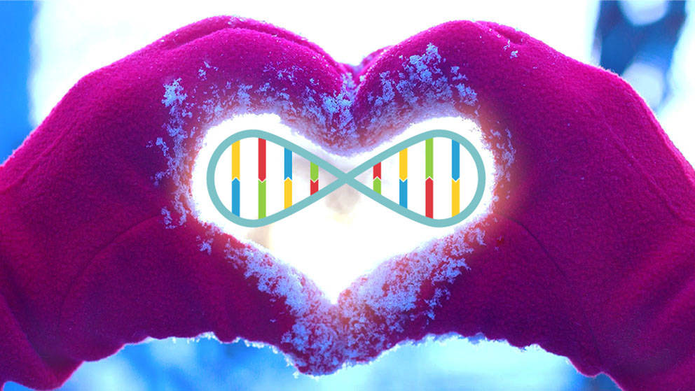 gloves heart dna