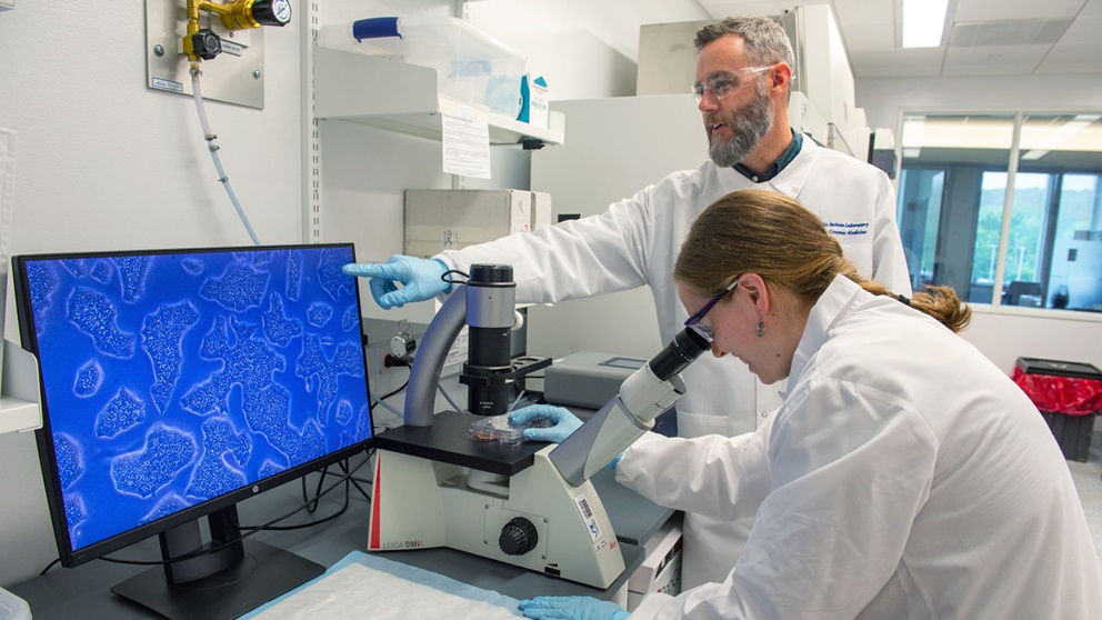 cellular engineering lab at jax genomic medicine