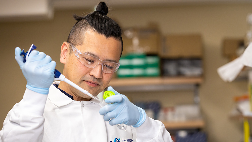 The Jackson Laboratory's Postdoctoral Associate Kousuke Mouri, Ph.D. 