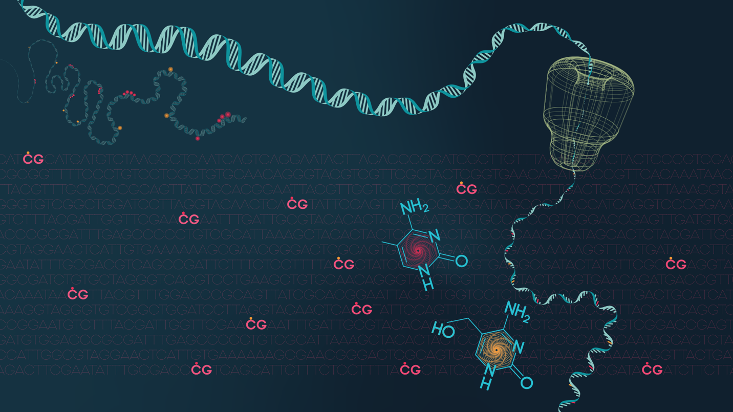 A rendering of long read sequencing from Bio Med Central