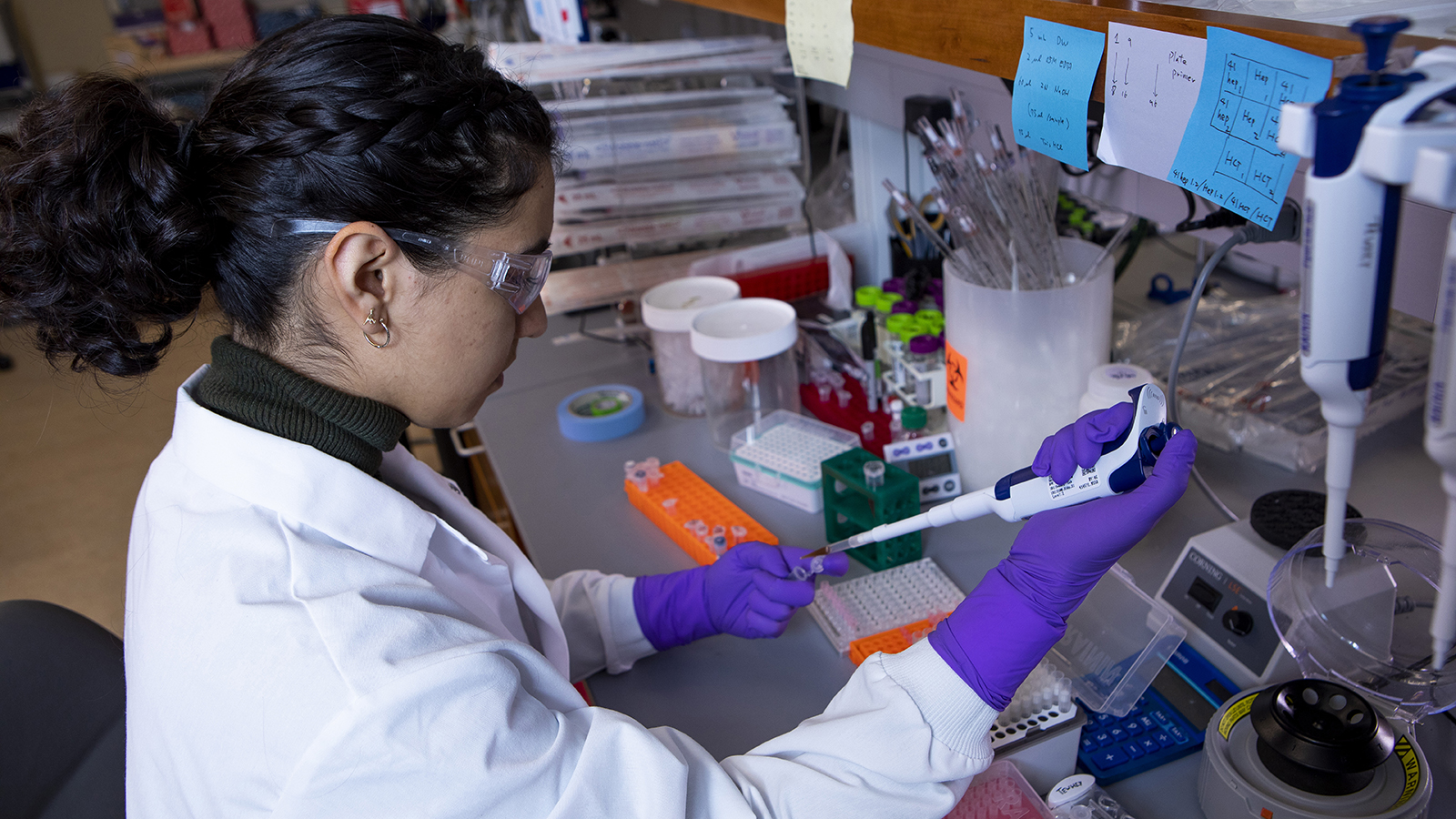 JAX summer student Natalia Fuentes working at the lab bench