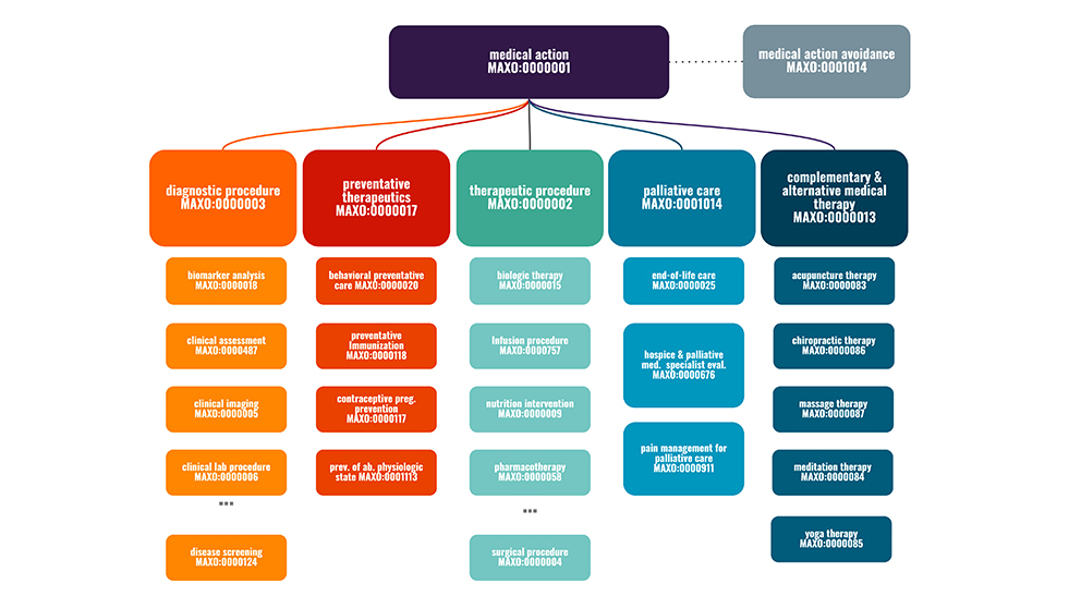 A research example from The Jackson Laboratory Peter Robinson's "The Medical Action Ontology."