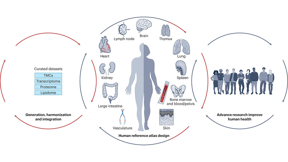 Paul Robson SenNet 2022 Nature Aging Venn