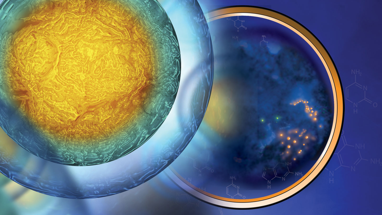 A rendering abstractly depicting single cell genomics.