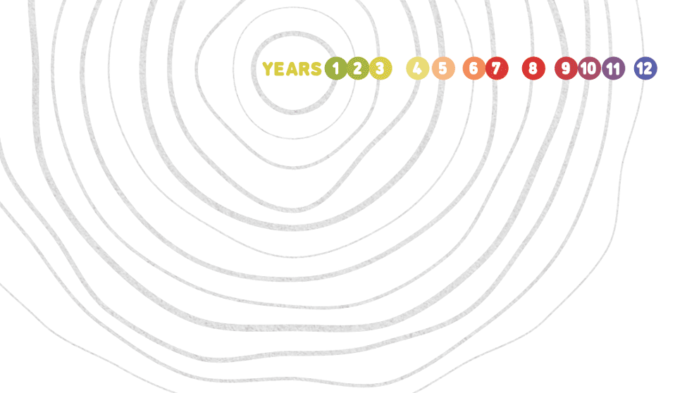 Why and how we age