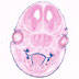 p63-cre Craniofacial Characterization