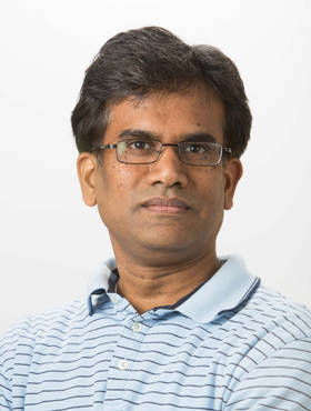 Narayanan Raghupathy, Ph. D.