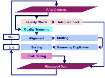 I-ATAC Processing Pipeline Diagram