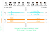 Functional Genomics