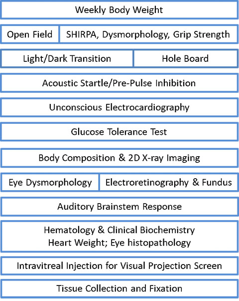 KOMP Phenotyping